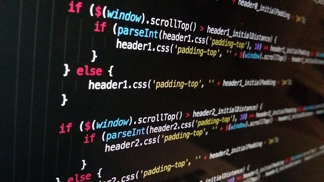 Programování v akci.jpg